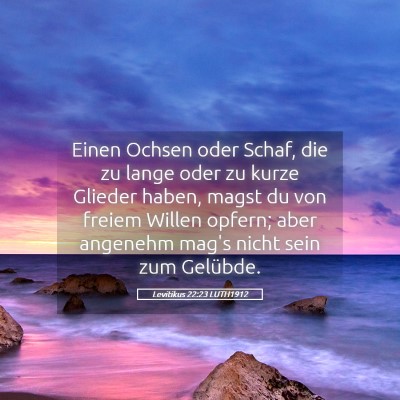 Picture 05 - Levitikus 22:23 LUTH1912 - Einen Ochsen oder Schaf, die zu lange oder zu - Bible Verse Picture