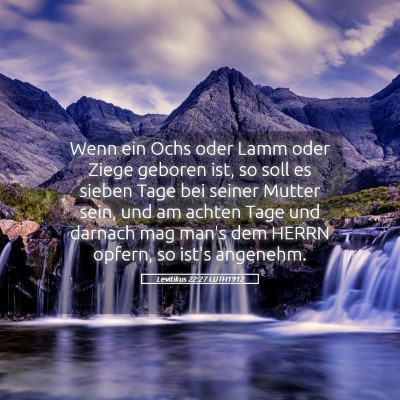 Picture 05 - Levitikus 22:27 LUTH1912 - Wenn ein Ochs oder Lamm oder Ziege geboren ist, - Bible Verse Picture