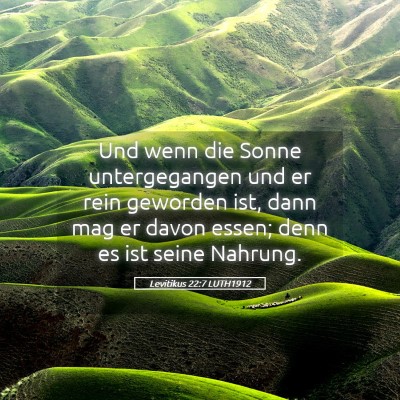 Picture 05 - Levitikus 22:7 LUTH1912 - Und wenn die Sonne untergegangen und er rein - Bible Verse Picture