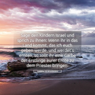 Picture 05 - Levitikus 23:10 LUTH1912 - Sage den Kindern Israel und sprich zu ihnen: Wenn - Bible Verse Picture