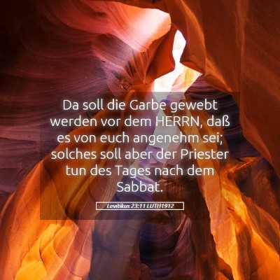 Picture 05 - Levitikus 23:11 LUTH1912 - Da soll die Garbe gewebt werden vor dem HERRN, - Bible Verse Picture