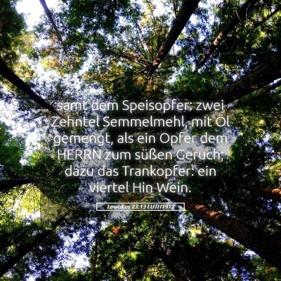 Picture 05 - Levitikus 23:13 LUTH1912 - samt dem Speisopfer: zwei Zehntel Semmelmehl, mit - Bible Verse Picture