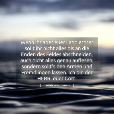 Picture 05 - Levitikus 23:22 LUTH1912 - Wenn ihr aber euer Land erntet sollt ihr nicht - Bible Verse Picture