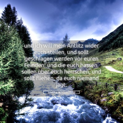 Picture 05 - Levitikus 26:17 LUTH1912 - und ich will mein Antlitz wider euch stellen, und - Bible Verse Picture