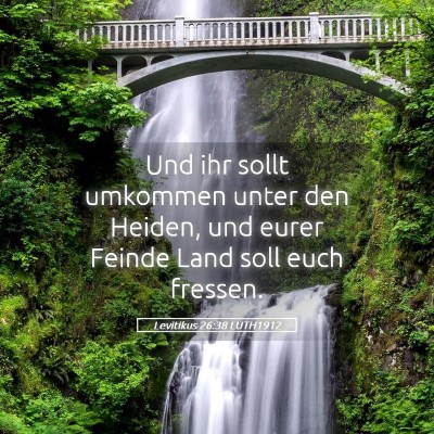 Picture 05 - Levitikus 26:38 LUTH1912 - Und ihr sollt umkommen unter den Heiden, und - Bible Verse Picture