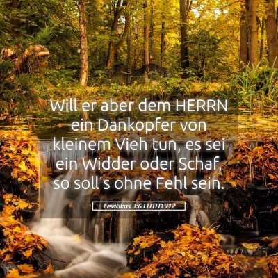 Picture 05 - Levitikus 3:6 LUTH1912 - Will er aber dem HERRN ein Dankopfer von kleinem - Bible Verse Picture
