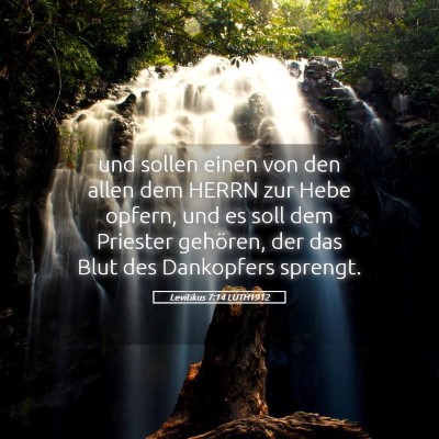Picture 05 - Levitikus 7:14 LUTH1912 - und sollen einen von den allen dem HERRN zur Hebe - Bible Verse Picture
