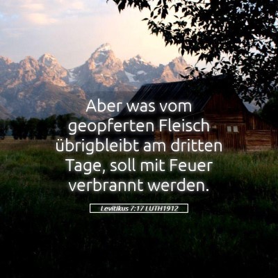 Picture 05 - Levitikus 7:17 LUTH1912 - Aber was vom geopferten Fleisch übrigbleibt am - Bible Verse Picture