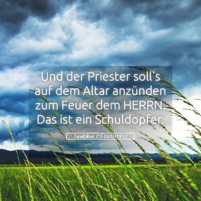 Picture 05 - Levitikus 7:5 LUTH1912 - Und der Priester soll's auf dem Altar anzünden - Bible Verse Picture