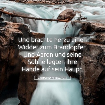 Picture 05 - Levitikus 8:18 LUTH1912 - Und brachte herzu einen Widder zum Brandopfer. - Bible Verse Picture