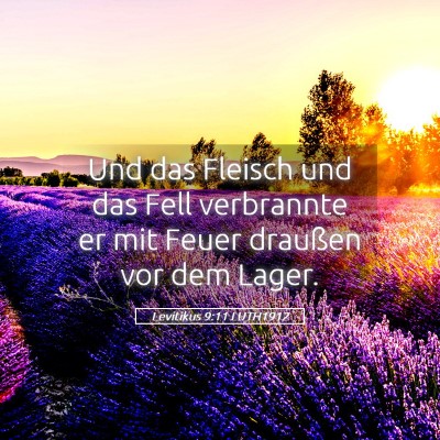 Picture 05 - Levitikus 9:11 LUTH1912 - Und das Fleisch und das Fell verbrannte er mit - Bible Verse Picture