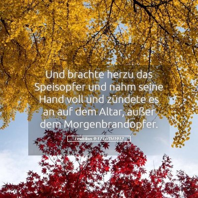 Picture 05 - Levitikus 9:17 LUTH1912 - Und brachte herzu das Speisopfer und nahm seine - Bible Verse Picture