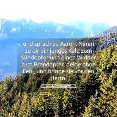 Picture 05 - Levitikus 9:2 LUTH1912 - und sprach zu Aaron: Nimm zu dir ein junges Kalb - Bible Verse Picture