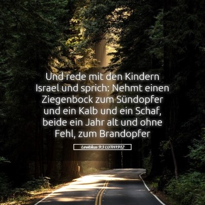 Picture 05 - Levitikus 9:3 LUTH1912 - Und rede mit den Kindern Israel und sprich: Nehmt - Bible Verse Picture