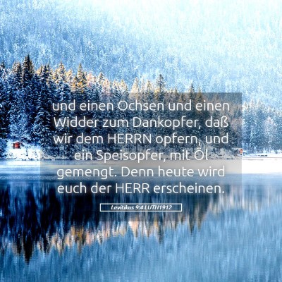 Picture 05 - Levitikus 9:4 LUTH1912 - und einen Ochsen und einen Widder zum Dankopfer, - Bible Verse Picture