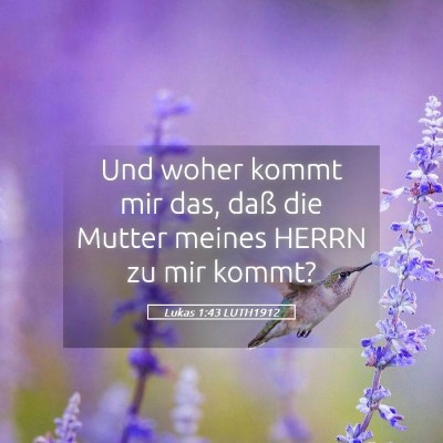 Picture 05 - Lukas 1:43 LUTH1912 - Und woher kommt mir das, daß die Mutter meines - Bible Verse Picture