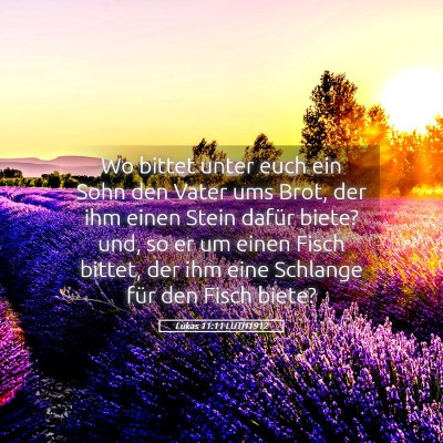 Picture 05 - Lukas 11:11 LUTH1912 - Wo bittet unter euch ein Sohn den Vater ums Brot, - Bible Verse Picture