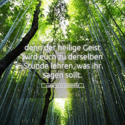 Picture 05 - Lukas 12:12 LUTH1912 - denn der heilige Geist wird euch zu derselben - Bible Verse Picture