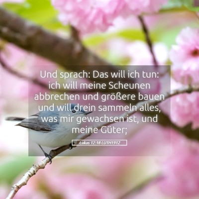 Picture 05 - Lukas 12:18 LUTH1912 - Und sprach: Das will ich tun: ich will meine - Bible Verse Picture