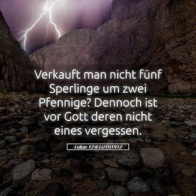 Picture 05 - Lukas 12:6 LUTH1912 - Verkauft man nicht fünf Sperlinge um zwei - Bible Verse Picture