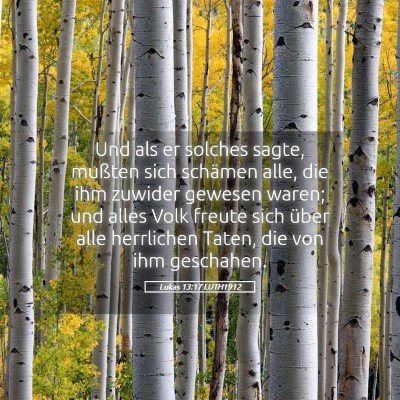 Picture 05 - Lukas 13:17 LUTH1912 - Und als er solches sagte, mußten sich schämen - Bible Verse Picture