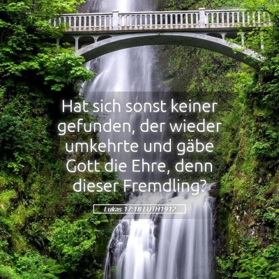 Picture 05 - Lukas 17:18 LUTH1912 - Hat sich sonst keiner gefunden, der wieder - Bible Verse Picture