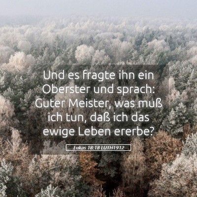 Picture 05 - Lukas 18:18 LUTH1912 - Und es fragte ihn ein Oberster und sprach: Guter - Bible Verse Picture