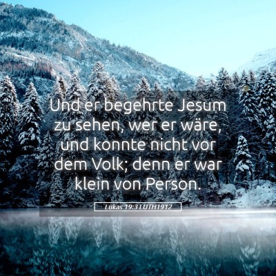 Picture 05 - Lukas 19:3 LUTH1912 - Und er begehrte Jesum zu sehen, wer er wäre, und - Bible Verse Picture