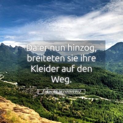 Picture 05 - Lukas 19:36 LUTH1912 - Da er nun hinzog, breiteten sie ihre Kleider auf - Bible Verse Picture