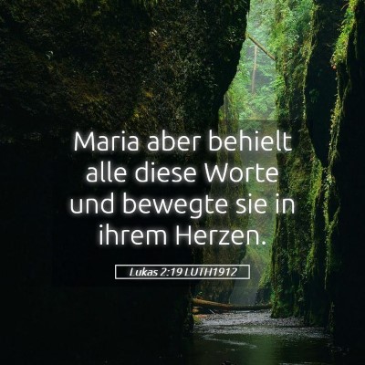 Picture 05 - Lukas 2:19 LUTH1912 - Maria aber behielt alle diese Worte und bewegte - Bible Verse Picture