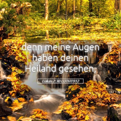 Picture 05 - Lukas 2:30 LUTH1912 - denn meine Augen haben deinen Heiland - Bible Verse Picture