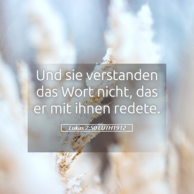 Picture 05 - Lukas 2:50 LUTH1912 - Und sie verstanden das Wort nicht, das er mit - Bible Verse Picture