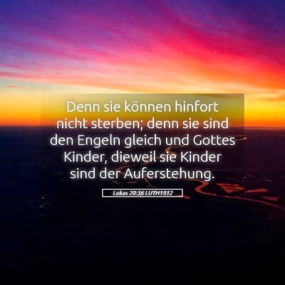 Picture 05 - Lukas 20:36 LUTH1912 - Denn sie können hinfort nicht sterben; denn sie - Bible Verse Picture