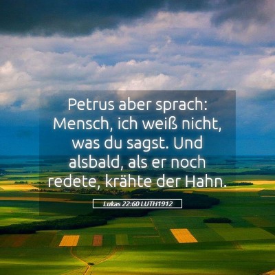 Picture 05 - Lukas 22:60 LUTH1912 - Petrus aber sprach: Mensch, ich weiß nicht, was - Bible Verse Picture