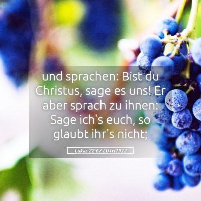 Picture 05 - Lukas 22:67 LUTH1912 - und sprachen: Bist du Christus, sage es uns! Er - Bible Verse Picture
