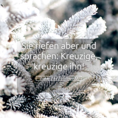 Picture 05 - Lukas 23:21 LUTH1912 - Sie riefen aber und sprachen: Kreuzige, kreuzige - Bible Verse Picture
