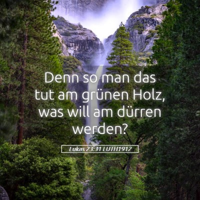 Picture 05 - Lukas 23:31 LUTH1912 - Denn so man das tut am grünen Holz, was will am - Bible Verse Picture