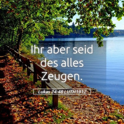 Picture 05 - Lukas 24:48 LUTH1912 - Ihr aber seid des alles - Bible Verse Picture