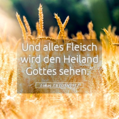 Picture 05 - Lukas 3:6 LUTH1912 - Und alles Fleisch wird den Heiland Gottes - Bible Verse Picture