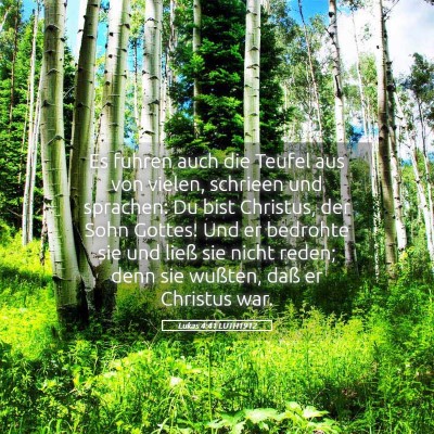 Picture 05 - Lukas 4:41 LUTH1912 - Es fuhren auch die Teufel aus von vielen, - Bible Verse Picture