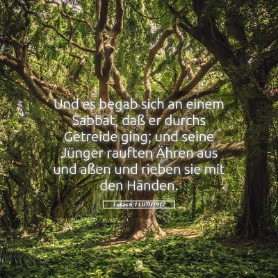 Picture 05 - Lukas 6:1 LUTH1912 - Und es begab sich an einem Sabbat, daß er durchs - Bible Verse Picture