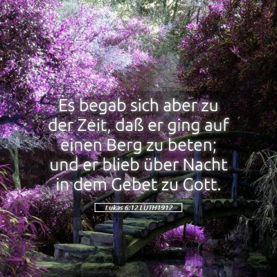 Picture 05 - Lukas 6:12 LUTH1912 - Es begab sich aber zu der Zeit, daß er ging auf - Bible Verse Picture