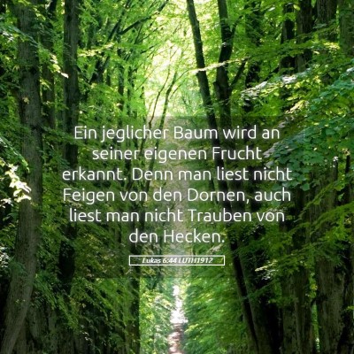 Picture 05 - Lukas 6:44 LUTH1912 - Ein jeglicher Baum wird an seiner eigenen Frucht - Bible Verse Picture