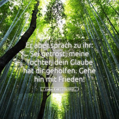 Picture 05 - Lukas 8:48 LUTH1912 - Er aber sprach zu ihr: Sei getrost, meine - Bible Verse Picture