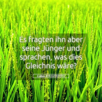 Picture 05 - Lukas 8:9 LUTH1912 - Es fragten ihn aber seine Jünger und sprachen, - Bible Verse Picture