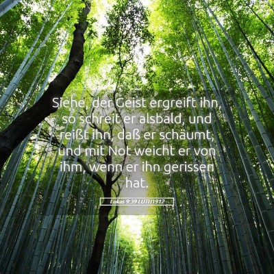 Picture 05 - Lukas 9:39 LUTH1912 - Siehe, der Geist ergreift ihn, so schreit er - Bible Verse Picture
