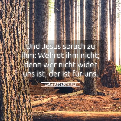 Picture 05 - Lukas 9:50 LUTH1912 - Und Jesus sprach zu ihm: Wehret ihm nicht; denn - Bible Verse Picture