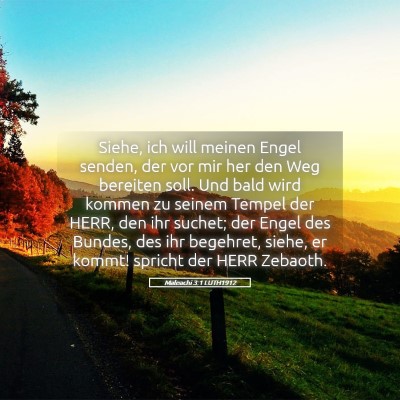 Picture 05 - Maleachi 3:1 LUTH1912 - Siehe, ich will meinen Engel senden, der vor mir - Bible Verse Picture