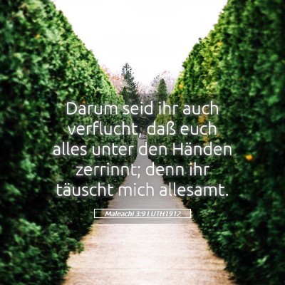 Picture 05 - Maleachi 3:9 LUTH1912 - Darum seid ihr auch verflucht, daß euch alles - Bible Verse Picture