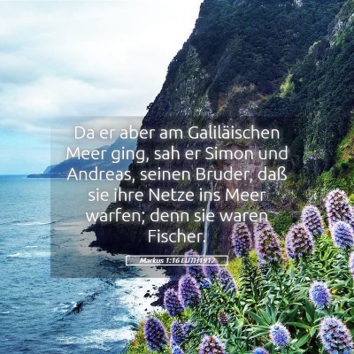 Picture 05 - Markus 1:16 LUTH1912 - Da er aber am Galiläischen Meer ging, sah er - Bible Verse Picture